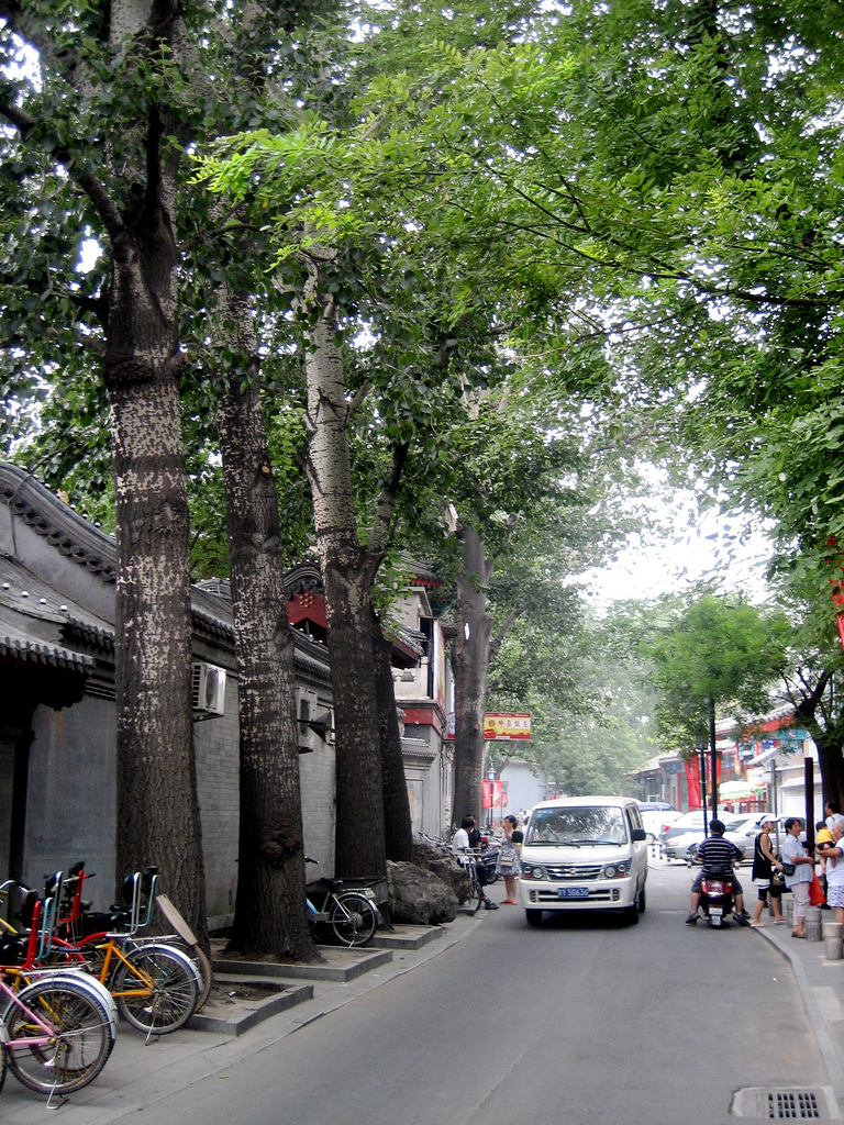 Hutopolis, city visions, urban green, hutong, spring, beijing